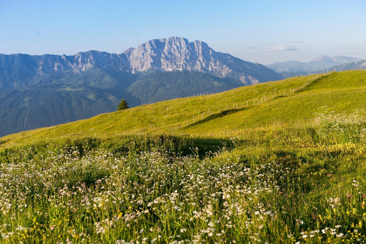 Отель Sattleggers Alpenhof & Feriensternwarte Грайфенбург Экстерьер фото