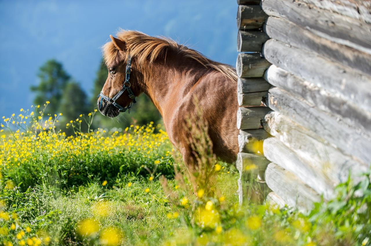 Отель Sattleggers Alpenhof & Feriensternwarte Грайфенбург Экстерьер фото