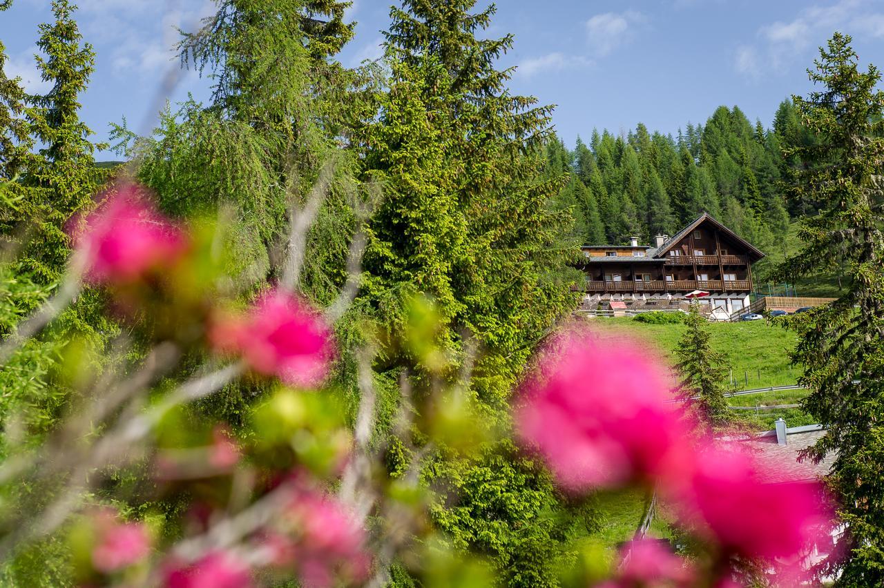 Отель Sattleggers Alpenhof & Feriensternwarte Грайфенбург Экстерьер фото