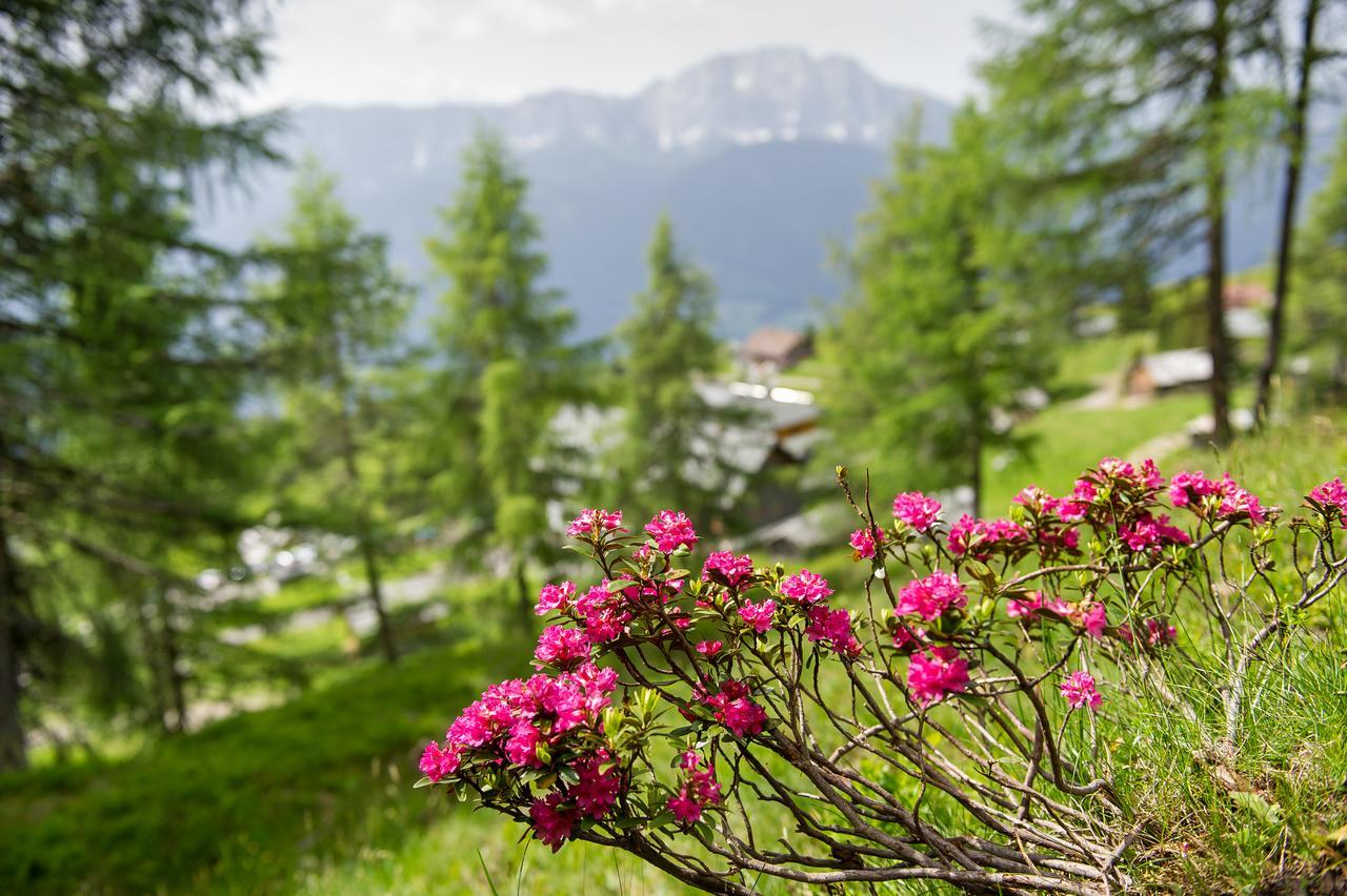Отель Sattleggers Alpenhof & Feriensternwarte Грайфенбург Экстерьер фото
