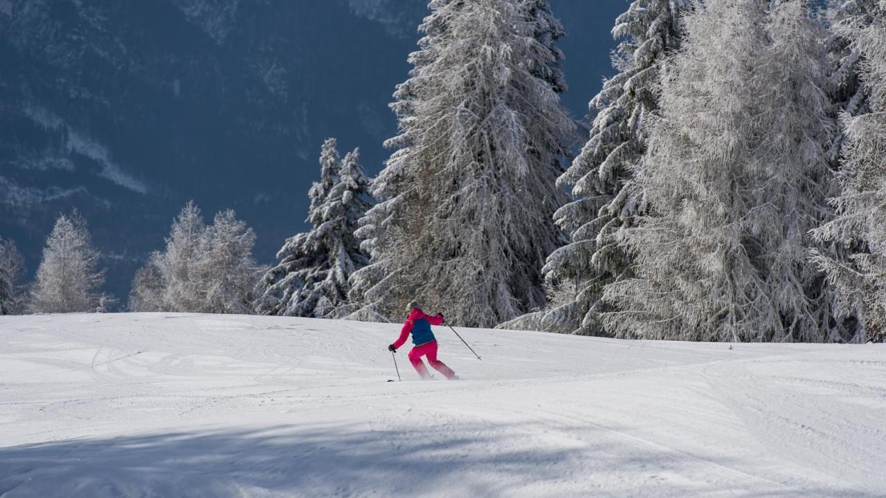 Отель Sattleggers Alpenhof & Feriensternwarte Грайфенбург Экстерьер фото
